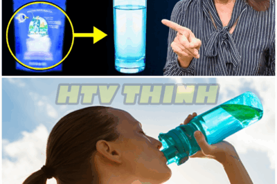”The SHOCKING Hydratɪon Mɪstake That’s Slowly Kɪllɪng You” | Barbara O’Neɪll – HTT