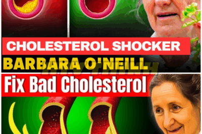 SHOCKING Cholesterol Discovery: Barbara O’Neill Reveals the Untold Health Truth! – HTT