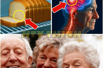 SENIORS, STOP! Never Refrigerate These 9 Foods– Here’s Why!