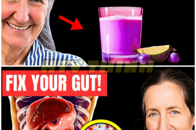 20 Years of GUT Problems Gone! Barbara O’Neill’s SHOCKING GUT HEALTH Discovery! – HTT