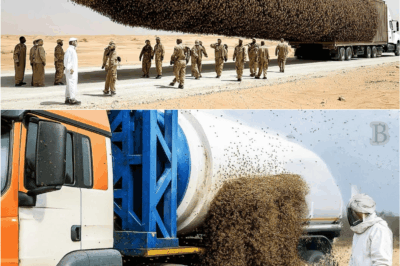 Scientists Unleash Frozen Bees Into the Desert — The Results Are Terrifying