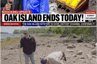 Newly Unearthed Structure on Oak Island’s Lot 5 Sparks Biggest Breakthrough in Decades