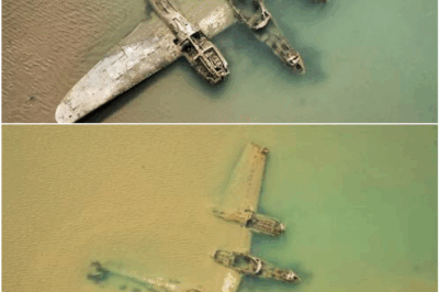 Lost for 65 Years, the Ghost Fighter of Harlech Beach Resurfaces — and Its Forgotten WWII Mission Shocks Historians