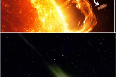 NASA’s Silent Encounter: The Secrets of 3I/Atlas That Will Make You Question Everything