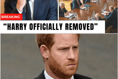 Prince Harry Loses Duke of Sussex Title Permanently as Palace Draws Final Line