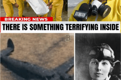 “What Really Happened to Amelia Earhart Revealed by Scientists”