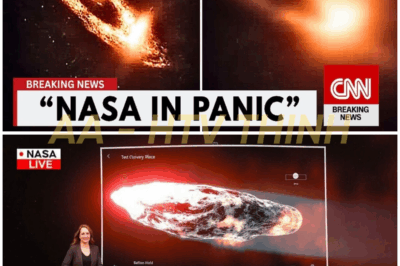 🚨JWST Observes 3I/ATLAS Up Close —  Scientists Are Terrified by the New Data!