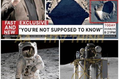 🚨 WHY HUMANITY NEVER RETURNED — AND THE TERRIFYING NEW EVIDENCE THAT CHANGES EVERYTHING