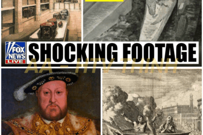 HISTORY’S BIGGEST ROYAL SHOCK — KING HENRY VIII’S LOST TOMB FOUND UNDER WINDSOR CASTLE!