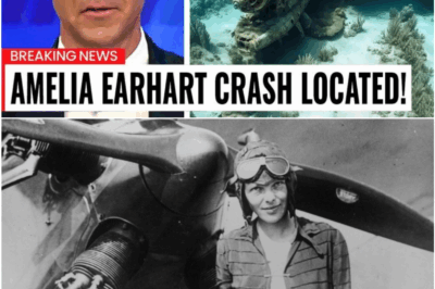 Amelia Earhart’s Lost Plane Finally Found After 87 Years — A Discovery That Rewrites Aviation History