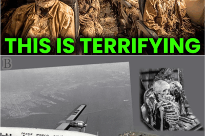 35 Years Later, The Plane That Vanished Returns—With 92 Skeletons Onboard, And The Truth Is Unbelievable