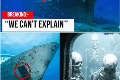 Underwater Drone Reveals Shocking Secrets of USS Indianapolis — Footage Changes History Forever