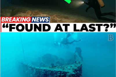 💰 “The Astonishing Discovery of Vasco da Gama’s Final Voyage Wreck”