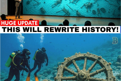 Unthinkable Discovery! Pharaoh’s Army Found Underwater, History Books Could Be Rewritten