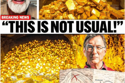 Rick Lagina Strikes Gold: $110 Million Pirate Treasure Unearthed Deep Beneath Oak Island!