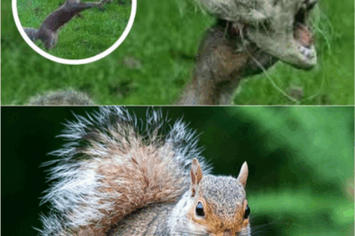 “Terrified Squirrel in Halloween Mask Turns Into Viral Sensation—You Won’t Stop Laughing!”
