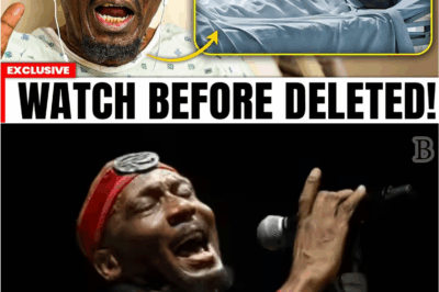 “Before Passing, Jimmy Cliff Left a Shocking Confession the World Wasn’t Ready For 👀