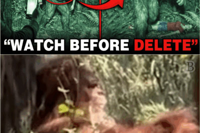 Shocking! NEW Oregon Bigfoot Footage Changes Everything We Thought About the Creature