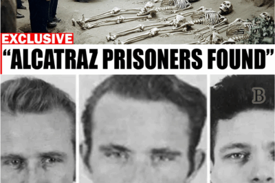 Global Shock as Alcatraz Yields a Discovery No One Was Prepared For — Authorities Scramble to Contain the Truth
