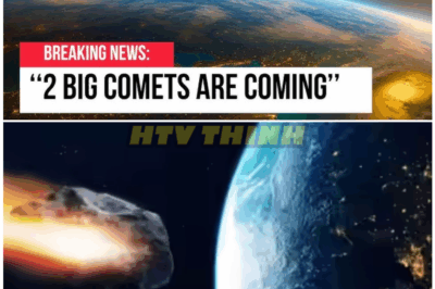 🦊 “Sky Shocker: Mysterious ‘Living’ Comets Threaten Earth – The Secret NASA Isn’t Telling!” ☄️
