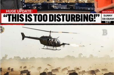 “What Happened After Texas Hunters Took on the Wild Hogs Will Leave You Speechless”