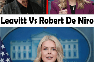 Robert De Niro Stuns Live TV Panel, Calls Out Karoline Leavitt in Unforgettable Face-Off