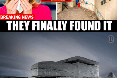 What Lies Beneath: Inside the Secret WW2 Nazi Bunker That History Tried to Hide