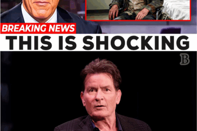 From Hollywood Glory to Heartbreak: Charlie Sheen’s Life Destroyed by Addiction