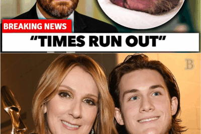 René-Charles Angélil Breaks Silence: The Surprising Career Path He’s Chosen