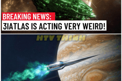 🦊 “New 3I/ATLAS Anomaly Sends Shockwaves Through Space Science – What Experts Are Desperately Hiding!” 🌌