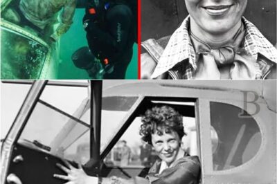 🚨 The Case Is Closed? New Evidence May Finally Explain Amelia Earhart’s Disappearance 👀