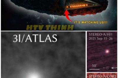 🦊 GLOBAL ASTRO-PANIC: Scientists STUNNED as NASA Finally Breaks Silence on 3I/ATLAS—And Their Statement Only Deepens the Mystery 🌌**