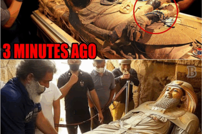 Archaeologists Break Into Solomon’s Legendary Resting Place and What They Discovered Has Shaken Humanity