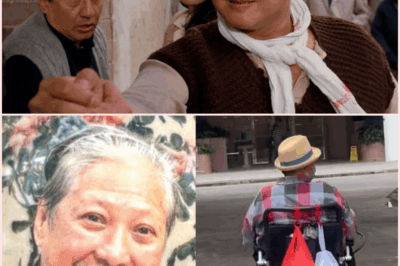 Behind the Wheelchair: The Emotional Journey of Sammo Hung from Relentless Martial Arts Training to Silver Screen Stardom and Today’s Everyday Heroism, Inspiring a New Generation About Sacrifice, Resilience, and the Power of Spirit