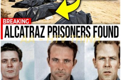 Case Closed After 63 Years! New research reveals what really happened to the three men who vanished from America’s most notorious prison.