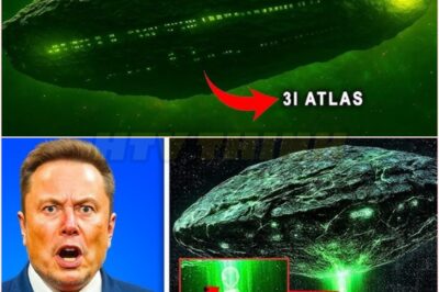 Elon Musk’s Terrifying Warning: 3I/ATLAS Just Made an Alien-Like Movement That Could Signal an Imminent Cosmic Threat to Humanity’s Survival! Is This Mysterious Interstellar Object Sending Us a Message or Preparing for Something Far More Sinister?
