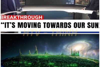 Scientists Finally Acknowledge