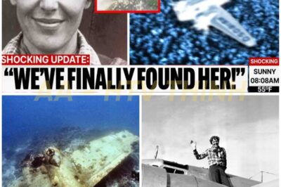 Drone FINALLY Finds Amelia Earhart’s Plane After 88 Years