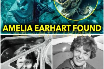 87 Years of Mystery DESTROYED: Investigators Announce the Discovery of Amelia Earhart’s Body — And It Raises TERRIFYING Questions.