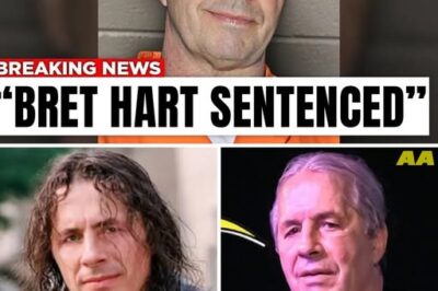 Bret Hart Breaks His Silence—and Everything Changes Overnight