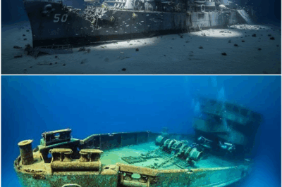 Java Sea WWII Fleet Rediscovered After 70 Years Only to Be Shockingly Stolen from the Ocean Floor