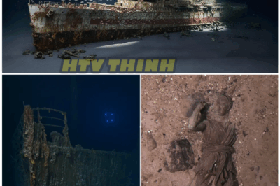 🦊 TITANIC’S HIDDEN FLOOR EXPOSED: Divers Reveal Secrets of the Forgotten Middle Deck—And What They Found Will Shock History Buffs ⚓