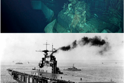 USS Hornet (CV-8) Unearthed After 77 Years: The Complete Arsenal That Survived the Depths of the Pacific
