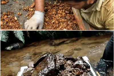 Fred Lewis’s Equipment Fails… But Gold Keeps Flowing—$90M Season!