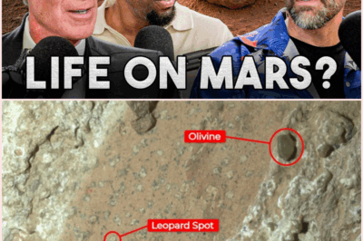 Did NASA Just Find Biosignatures on Mars? A Deep Dive into the Latest Discoveries