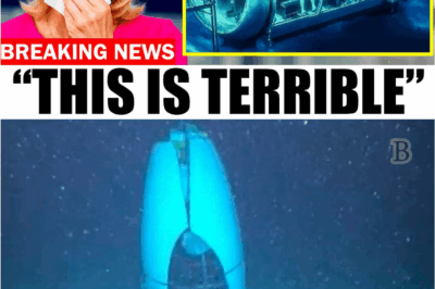 “Final Report on the Titan Sub Reveals Catastrophic Failures That Shocked the World”