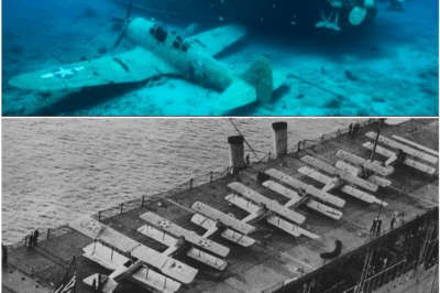 USS Langley CV-1 – America’s First Aircraft Carrier Rediscovered After 75 Years Beneath the Deep Sea