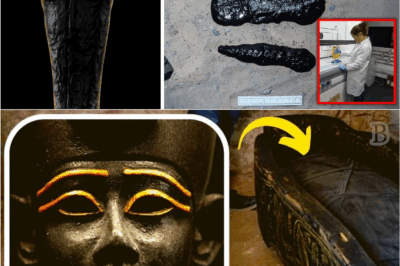 Mass Spectrometry Reveals Secrets of Egypt’s Black Goo, Leaving Experts Stunned Worldwide