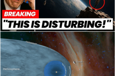 Voyager 2 Stuns Scientists With Unprecedented Discovery at the Solar System’s Edge