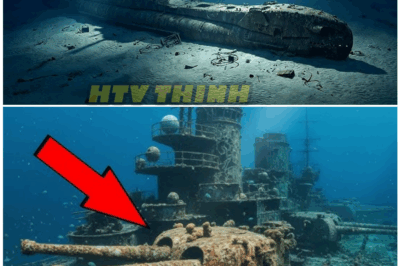 🦊 DEEP-SEA HORROR UNCOVERED: The Sunken WWII Weapons Ship Hiding a Chilling Secret That No One Has Ever Solved ⚠️